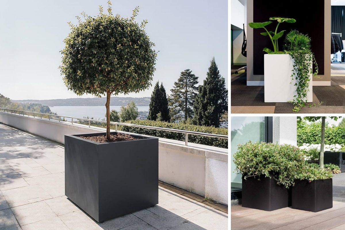 Ứng dụng chậu composite vuông