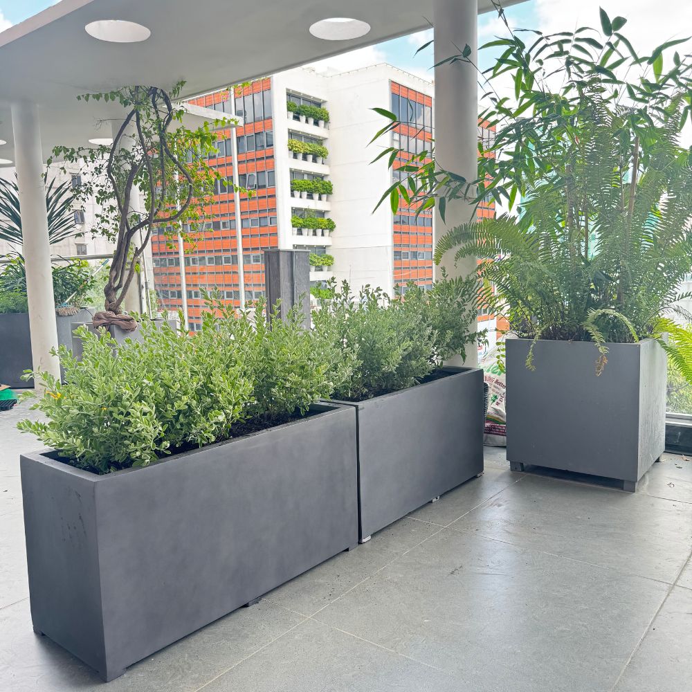 chau composite san xuat theo yeu cau18